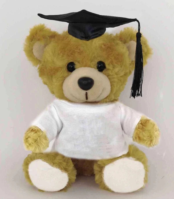 Graduation Teddy Bear